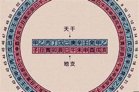 庚申年五行|庚申年是什么意思 庚申年五行属什么